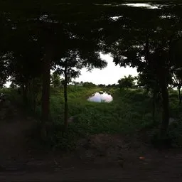 "Jungle Edge with Water Canal HDRI"