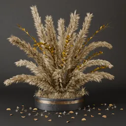 SJ-modern dried pampas set