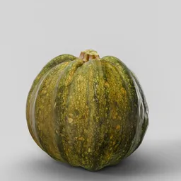 Fresh Green Pumpkin