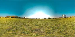 Dry Field Sunset Light