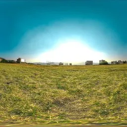 Dry Field Sunset Light