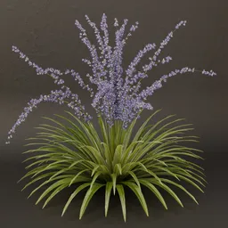 SJ-Faerie Plume Bush