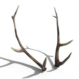 Antlers
