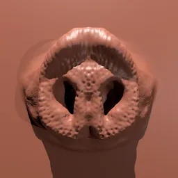 Detailed 3D sculpting brush imprint resembling a pig snout for use in Blender model detailing.