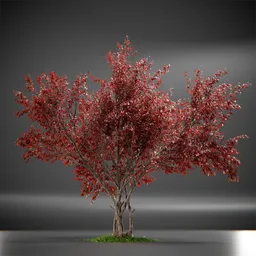 Tree Ruby Slippers Animated