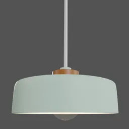 Plastic Light Pendant