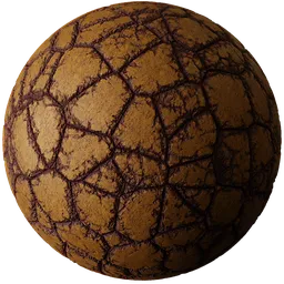 Cracked Earth
