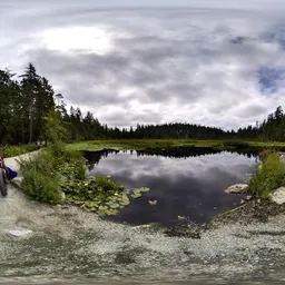 Pond in Stanley Park, Vancouver
