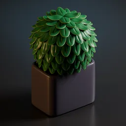 Stylized Succulent Plant