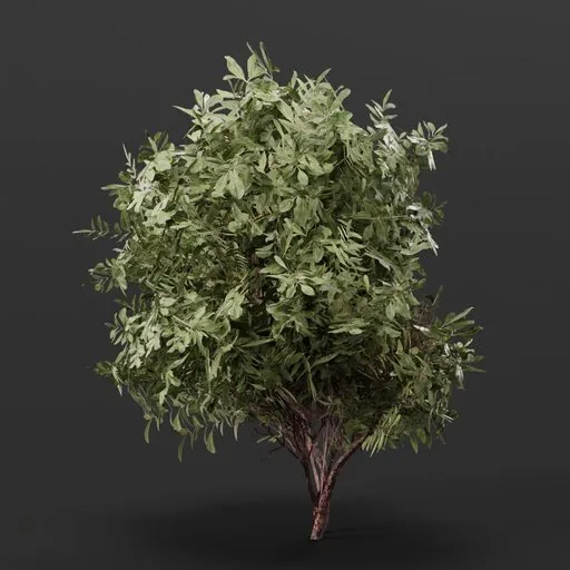 Detailed 3D model of a lush, small bush optimized for Blender, ideal for adding greenery to digital environments.