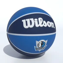 Wilson Dallas Mavericks Basketball