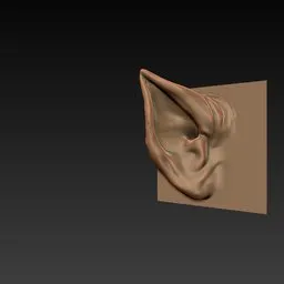 ER Ear Brush 24 for 3D sculpting, detailed creature ear design outcome on sculpted surface.