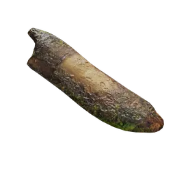 Tree bark debris