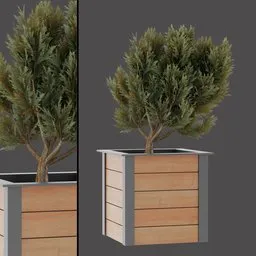 Realistic Potted Conifer