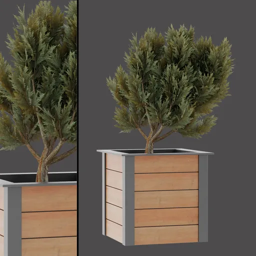 Realistic Potted Conifer