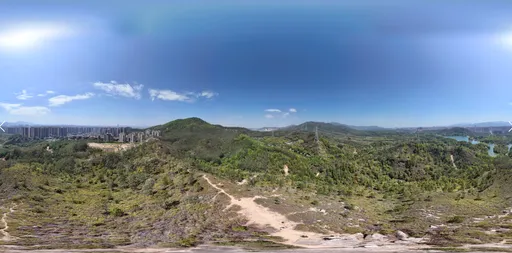 Green tree mountain cloud bluesky