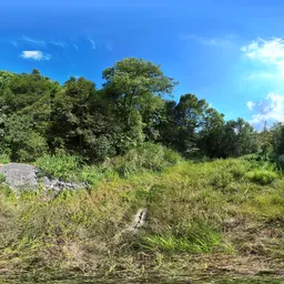 Green tree forest cloud 18k