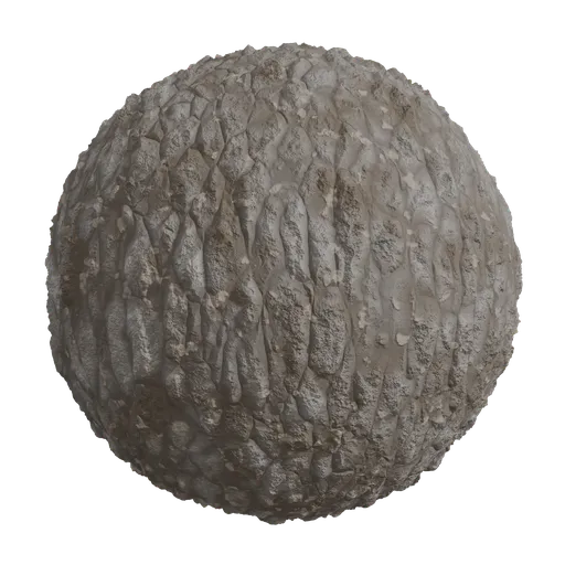 Procedural Bark