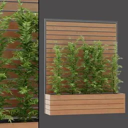 Wooden Box Shrub Arrangement