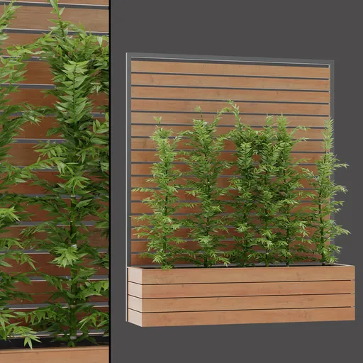 Wooden Box Shrub Arrangement