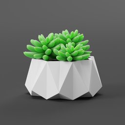 "Isometric 3D succulent plant in a white flower pot, perfect for indoor nature designs in Blender 3D. Features green jade leaves with mint highlights and sleek hexagonal shapes. High-quality computer-generated design with a cel-shaded viridian finish."