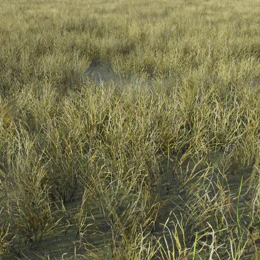 3D model of realistic sparse dry grass, optimized for Blender, game-ready for natural scene environments.