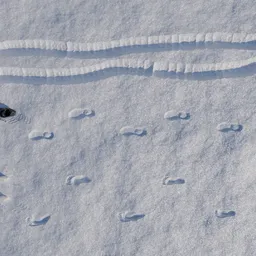 Interactive Snow
