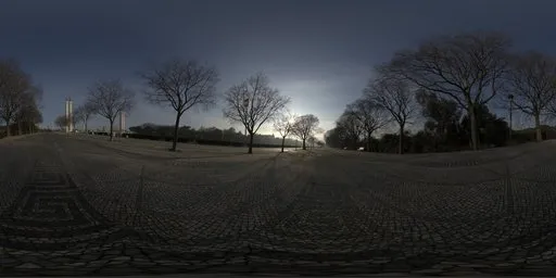 Tree Avenue Sunrise