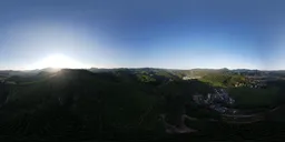 Sunset over high-altitude forest