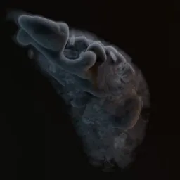 Smoke with animation