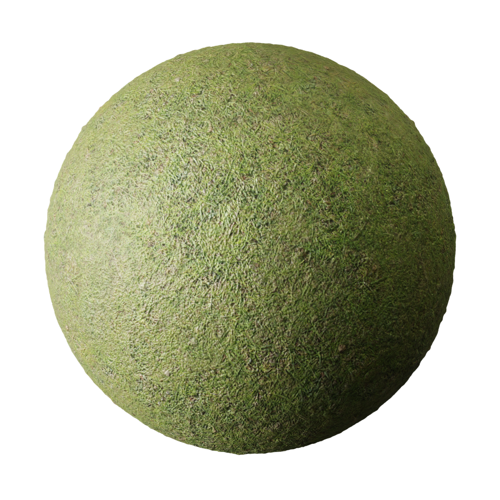 BlenderKit Download the FREE Grass material