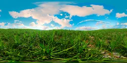 Grass and sky spring HDri