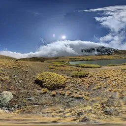 Bluesky Mountain Highsky Yellow Grass