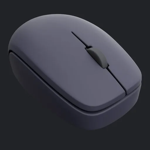 Computer Mouse