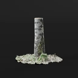 Birch Tree Trunk (Photoscanned)