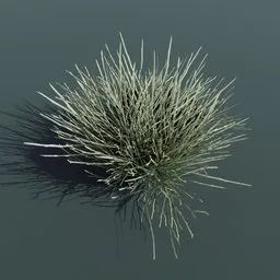 Detailed 3D render of a small Ephedra Nevadensis plant model for Blender, ideal for architectural visualization and game environments.