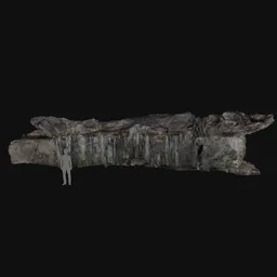 Wall of the limestone cave interior