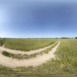 Country road