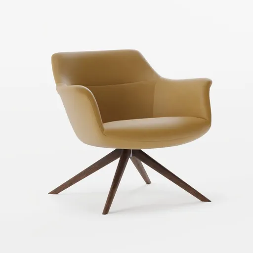 Armchair Lounge