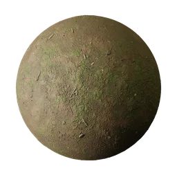 Brown Soil with Fresh Green Moss