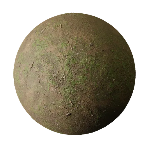 Brown Soil with Fresh Green Moss