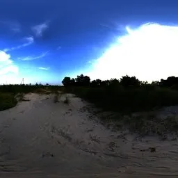 White Sand Trail with Greenery HDRI