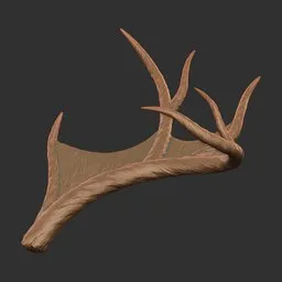 Deer Antler Style