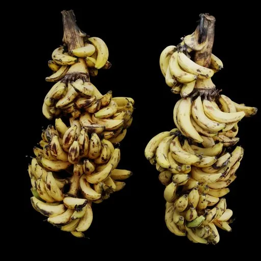 Banana Bunch