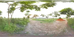 Natural Environment Scene