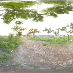 Natural Environment Scene