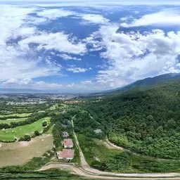 Green forest grass cloud