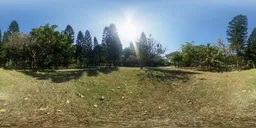 Lawn under the scorching sun 16k