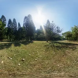 Lawn under the scorching sun 16k