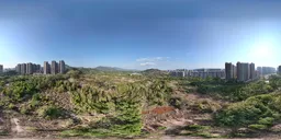 Highsky building clouds forest